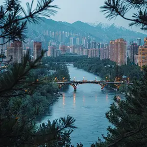 先字笔顺是怎么写，正确写法详解