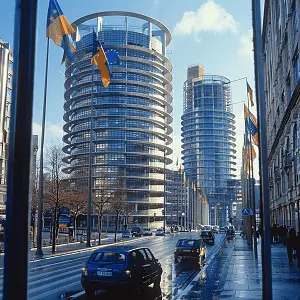 冤案为什么追究法律责任